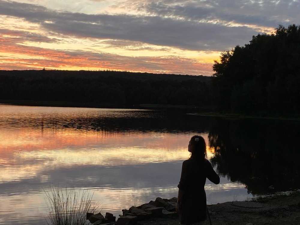 Balade nocturne Les créatures de l'ombre