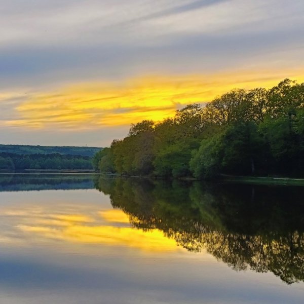 Étang de Paimpont au crépuscule
